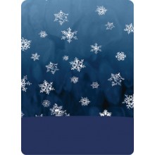 Бандана 4FUN Polartec 2020 Antarctica snow 18 