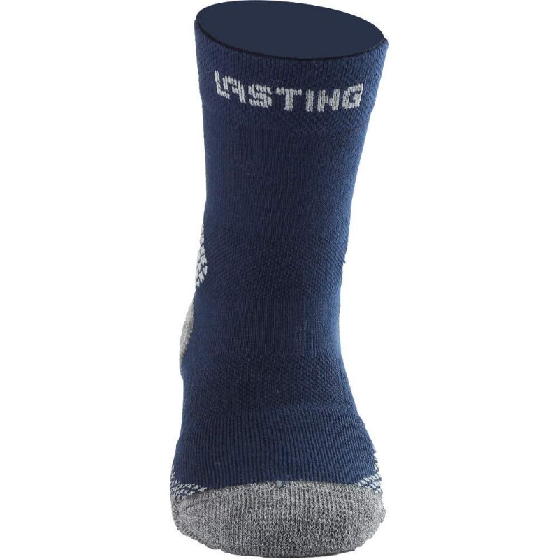 Шкарпетки Lasting TJC