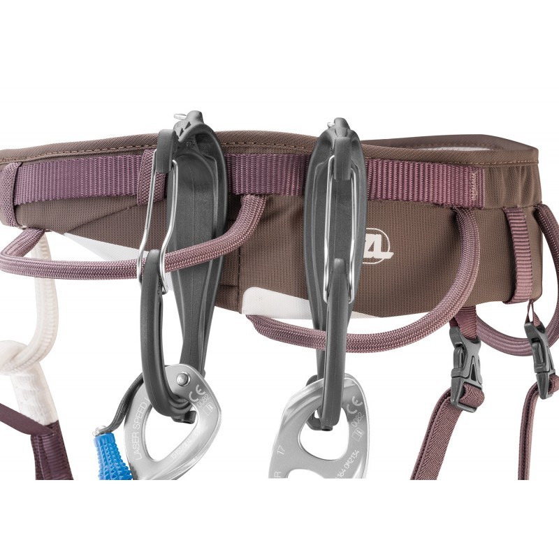Карабін PETZL CARITOOL EVO